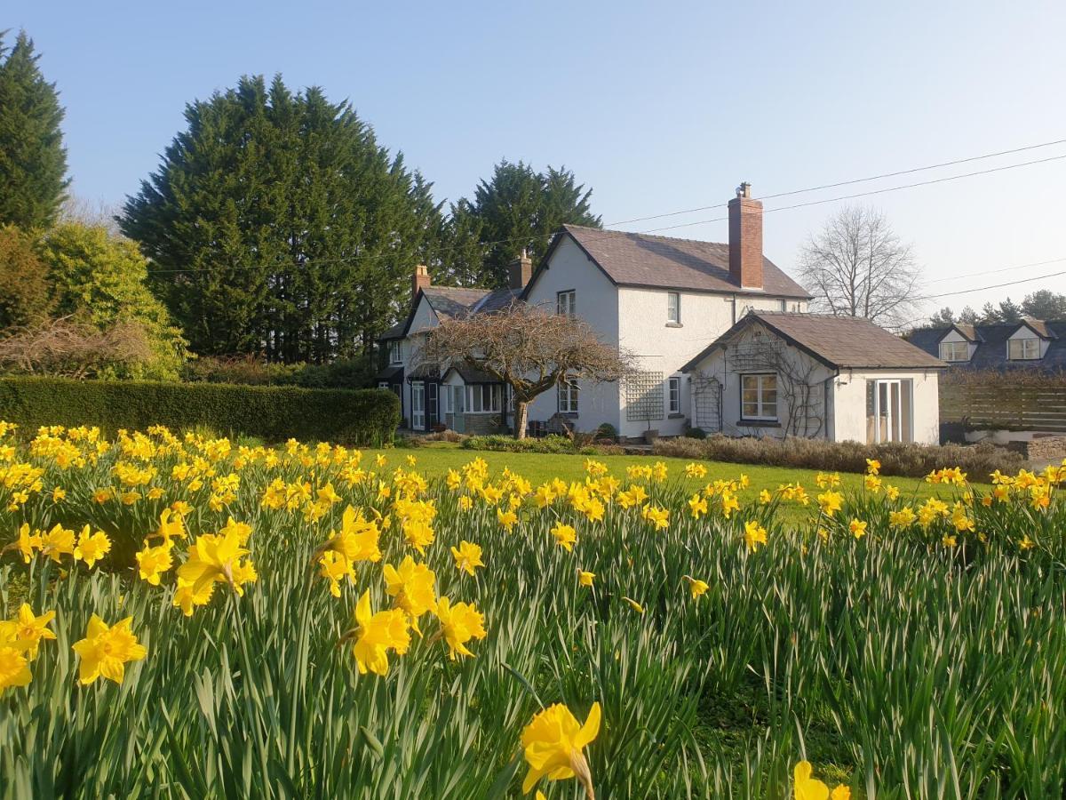 Lower House B&B Adforton Leintwardine Exterior foto